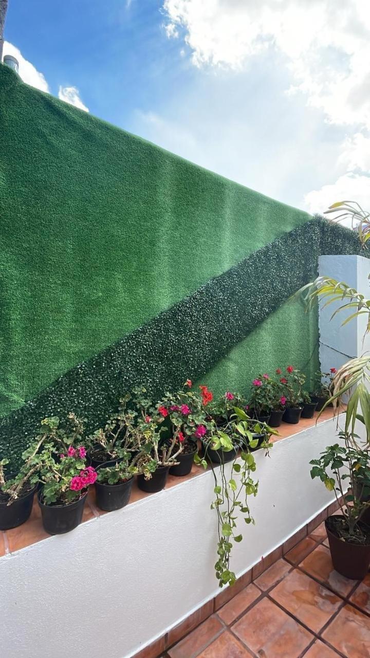לינה וארוחת בוקר מקסיקו סיטי Casa Frida Condesa מראה חיצוני תמונה